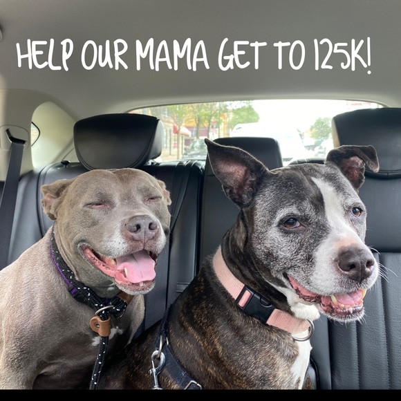 WE MADE IT! ๐ฅฐ THANKS EVERYONE!! - Picture 2 of 5